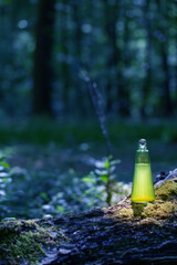 magican potion in glass bottle in summer forest