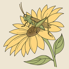 vector illustration of a sunflower