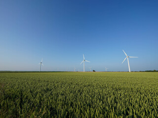 Rows of wind turbines rise above golden grain fields beneath a vivid blue sky