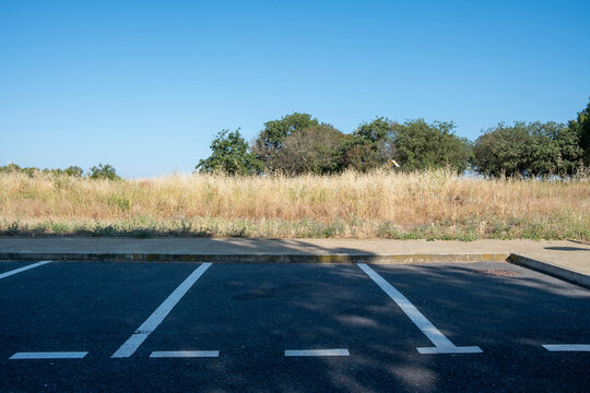 Empty parking lot with tree shadows and dry field background, outdoor urban setting with open negative space for design