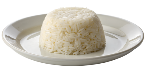 A white plate holds a neatly molded portion of white rice, with a spoon resting beside it.