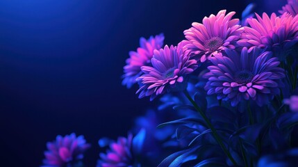 Vibrant Purple Gerbera Daisies in Deep Blue Light