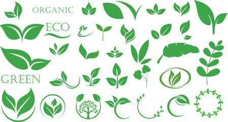 Set of green leaf icons for logo and graphic design. Editable stroke. Vector illustration, leaf icons	
