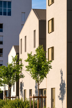 White urban facade with regular windows and aligned trees, minimalist residential architecture under natural light and shadow rhythm