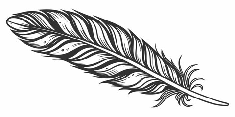 Obraz premium feather isolated on white background