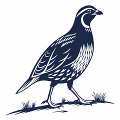 vector illustration of a bird