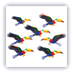 Horizontal banner with two beautiful colorful toucan birds (Ramphastidae) on a branch in a rainforest. Couple of toucan bird and leaves of tropical plants on sunny background. Copy space for text