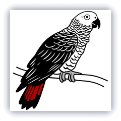 Horizontal banner with two beautiful colorful toucan birds (Ramphastidae) on a branch in a rainforest. Couple of toucan bird and leaves of tropical plants on sunny background. Copy space for text