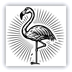 Horizontal banner with two beautiful colorful toucan birds (Ramphastidae) on a branch in a rainforest. Couple of toucan bird and leaves of tropical plants on sunny background. Copy space for text