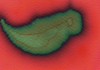 An abstract, close-up view of a green, organic-looking shape with faint internal veins, surrounded by a vibrant red texture, resembling a microscopic biological sample or a stylized cell.
