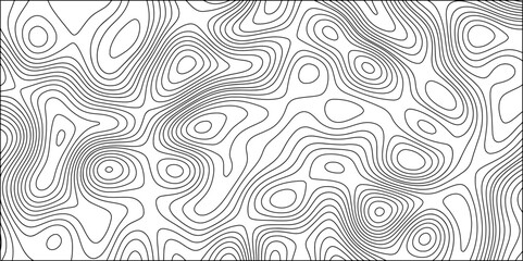 Abstract Black and white background vector, topographic contours map background. Wave Line topography map contour. Terrain lines, with varying line and featuring organic pattern