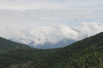 2024 - Viaje Pirineos - Boltaña