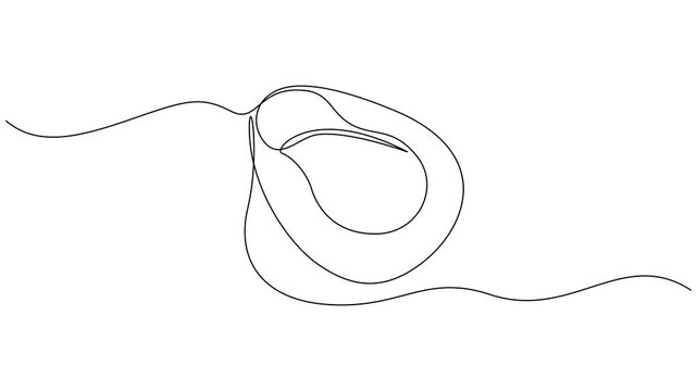 Self drawing animation of Bedpan Animated single line bedpan design. Animation on a white background 4K.