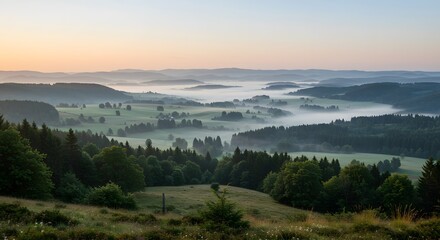 Morning fog over conifer forest and hills