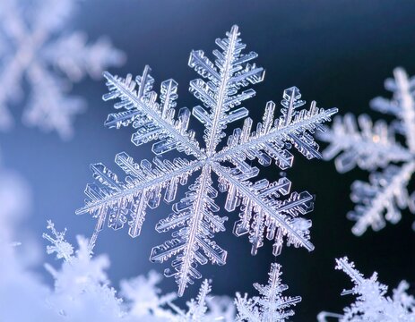 氷結晶」の写真素材 | 1,476,985件の無料イラスト画像 | Adobe Stock