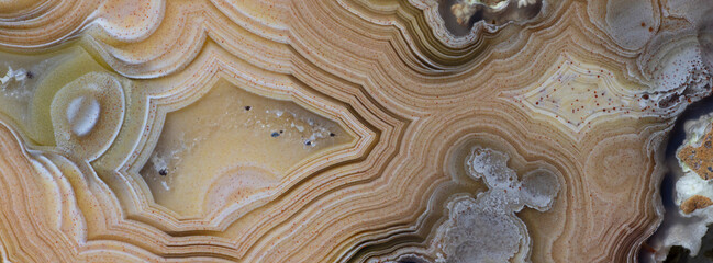 Abstract close-up of laguna agate from Mexico