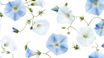 Minimalist watercolor morning glories in soft blue and white hues create serene floral pattern, evoking tranquility and beauty