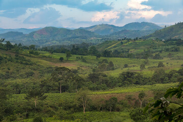 Africa, Uganda, Ishasha, Queen Elizabeth National Park. Territorial view near Mweya.