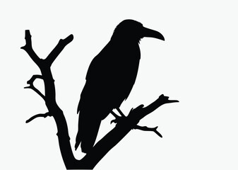 Crow on tree branch, bird silhouette vector, perched black and white illustration, spooky clipart, white background