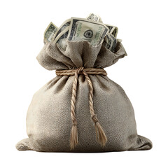 Money bag overflowing with US dollar bills.
