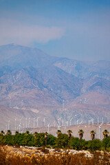 windmills in the desert