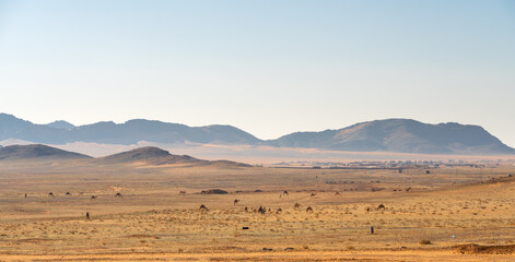 Scenic road between Riyadh and AlUla, Saudi Arabia