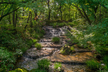 Cascade of waterfalls in Oyashiki Park of the Koko-en Garden on a sunny autumn day, Himeji, Hyogo Prefecture, Japan