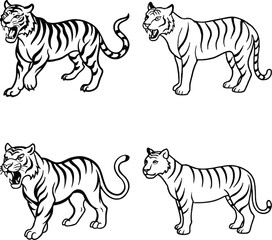 Set of Detailed Line Art Tiger Set on a white background
