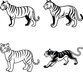 Set of Detailed Line Art Tiger Set on a white background
