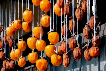 Close-up of Drying persimmons, Takayama, Japan