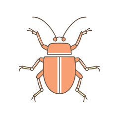 Illustrated beetle insect on black background. Flat design bug vector illustration. Simple graphic cute beetle drawing in peach tones.