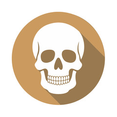 Obraz na płótnie Canvas Isolated White Skull Icon on Tan Circle with Long Shadow Halloween Horror Symbol Death Mortality Danger Skeletal