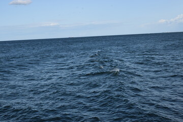 sea waves and blue sky