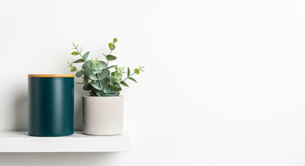 Still Life of Teal Cylinder and Eucalyptus Pot on White Shelf Against a White Background Simple Home Decor Minimalist Design Indoor Plant Arrangement