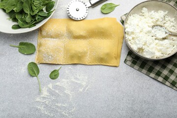 Uncooked ravioli, cottage cheese and spinach on light table, flat lay