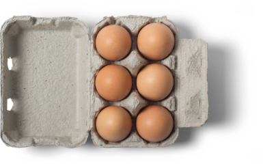 A carton containing six brown eggs, showcasing their smooth shells and natural color, ready for cooking or baking.