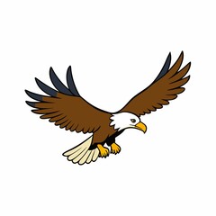 Bald eagle in flight isolated on white background