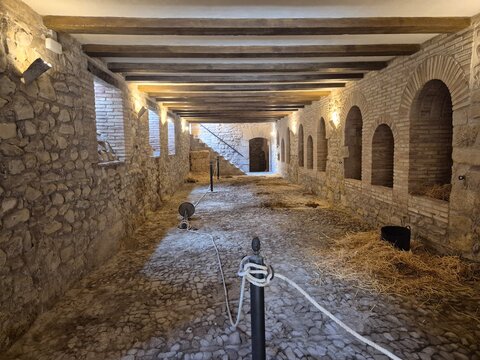 2025 - Castillo y pueblo de Sabiote, Ja&eacute;n