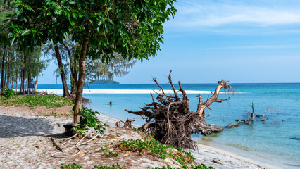 Tropical Beach with Driftwood and Turquoise Waters on a Remote Island in Thailand