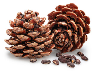 Two stone pine cones with unshelled nuts near it isolated on white background. File contains...