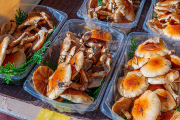 Mushrooms for sale at the Miyagawa Morning Market, Takayama, Japan