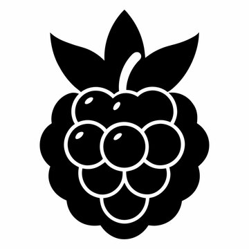 Black and white angur