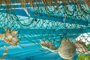 Antigua, West Indies. Local sea shells hanging from a net