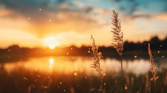 A beautiful sunset casts a warm glow over a tranquil lake, with tall grasses illuminated by the golden light, creating a peaceful and serene atmosphere for nature lovers.