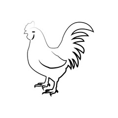 Obraz premium illustration, vector, chicken, rooster, icon, farm, animal, isolated, bird, poultry, cock, symbol, image,