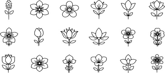set of flowers 