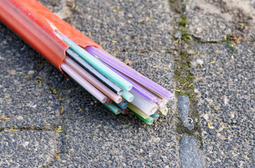 Stripped multi-core power cable showing plastic sheaths and large outer insulation