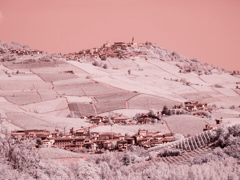 Italy, Pedemonte, Langhe, Barolo. Vineyards.