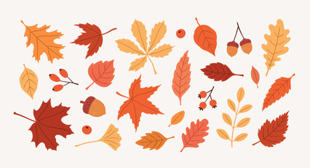 Set of autumn leaves, berries, and acorns.