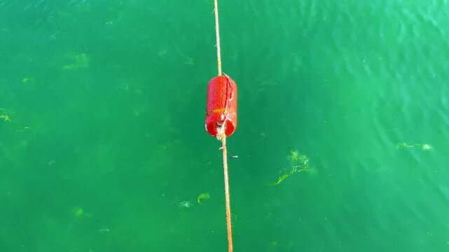 Red navigation buoy on a rope floating in green sea water. Top-down aerial view of a marine marker.Fishing net marker or boat mooring buoy floating in calm harbor. Marine safety and navigation concept